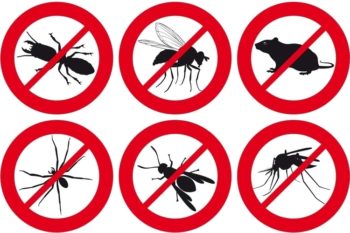Prerrequisitos: control de plagas y animales indeseados